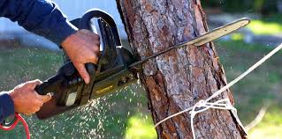 Best Lawn Pest Prevention  in Strasburg, OH