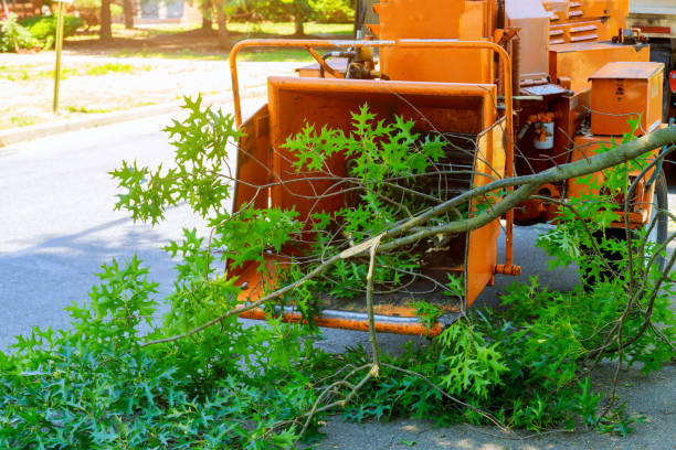 Best Firewood Processing and Delivery  in Strasburg, OH